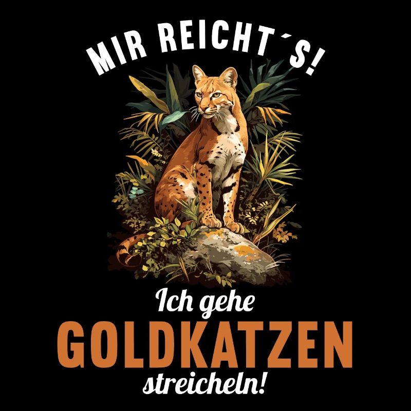 Chats dorés Chat doré