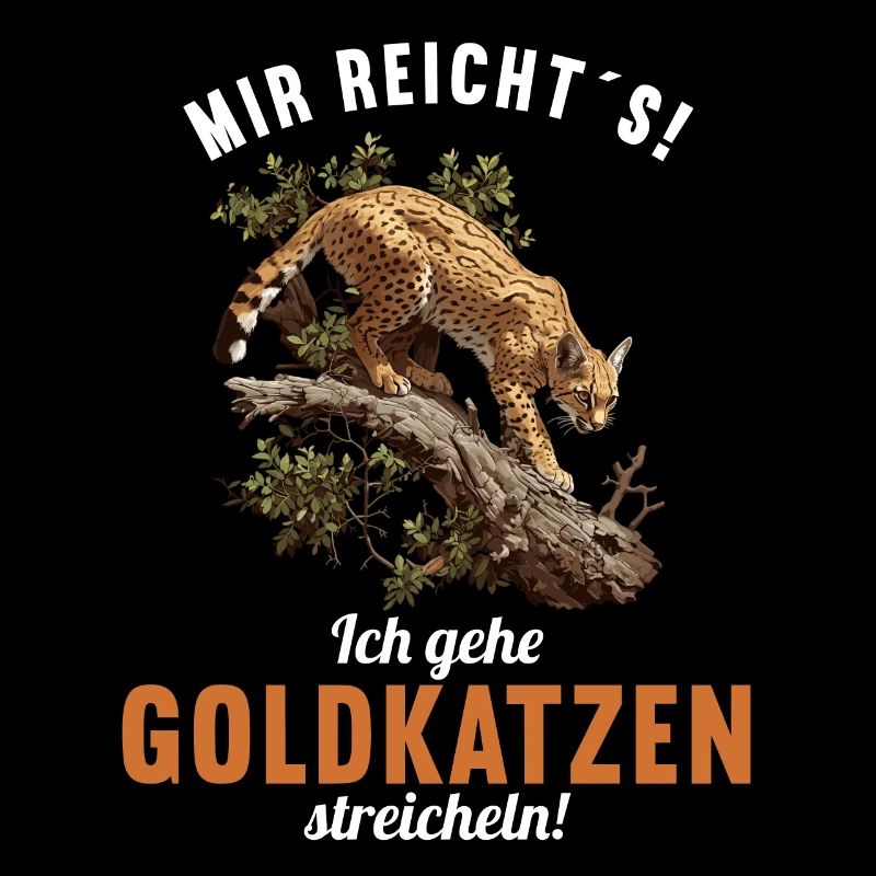 Chats dorés Chat doré