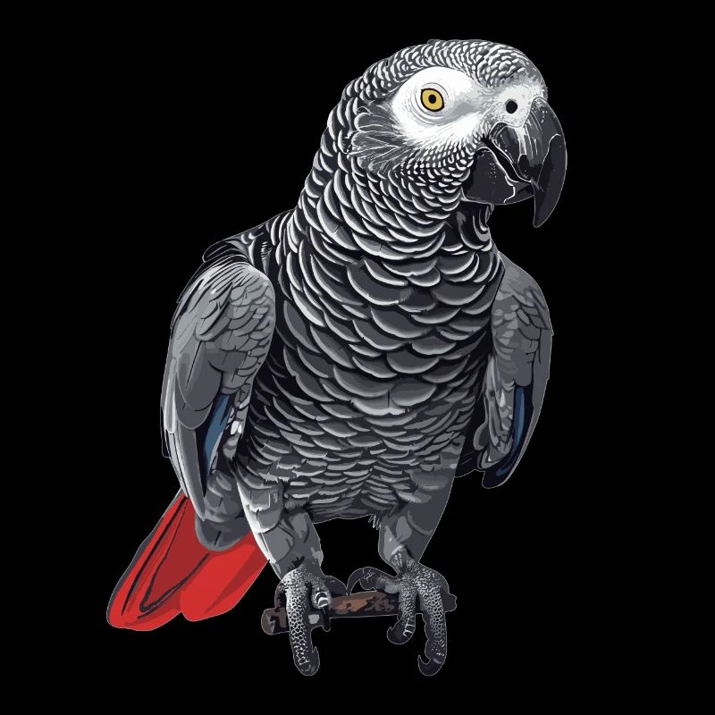 Perroquets gris d’Afrique