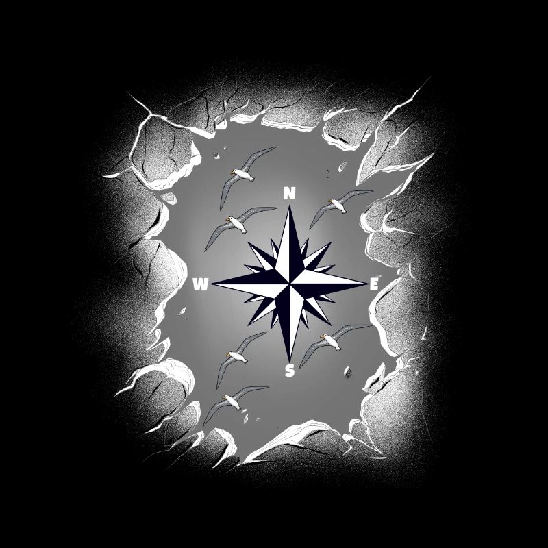 Möwen Möwe Kompass maritim