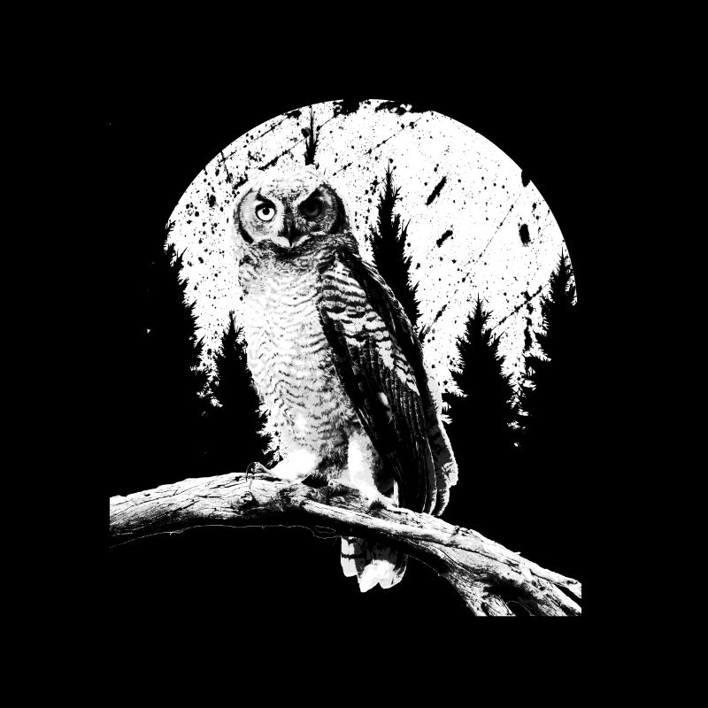 Owl Moon Trees Nocturnal Bird Night Predator Lover