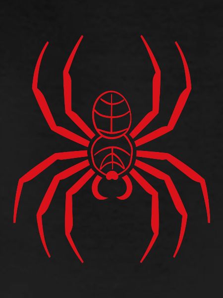 spider