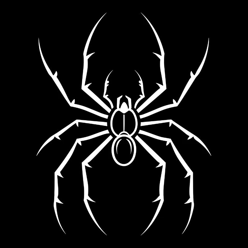 Spinne