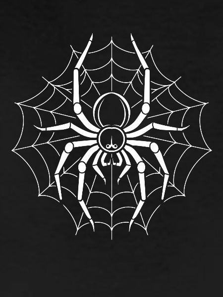 spider