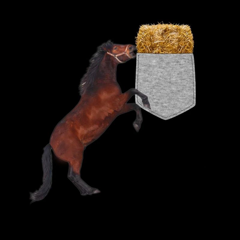 Pferd, das Nach Heu In Ihrer Falschen Tasche Greift Lustig