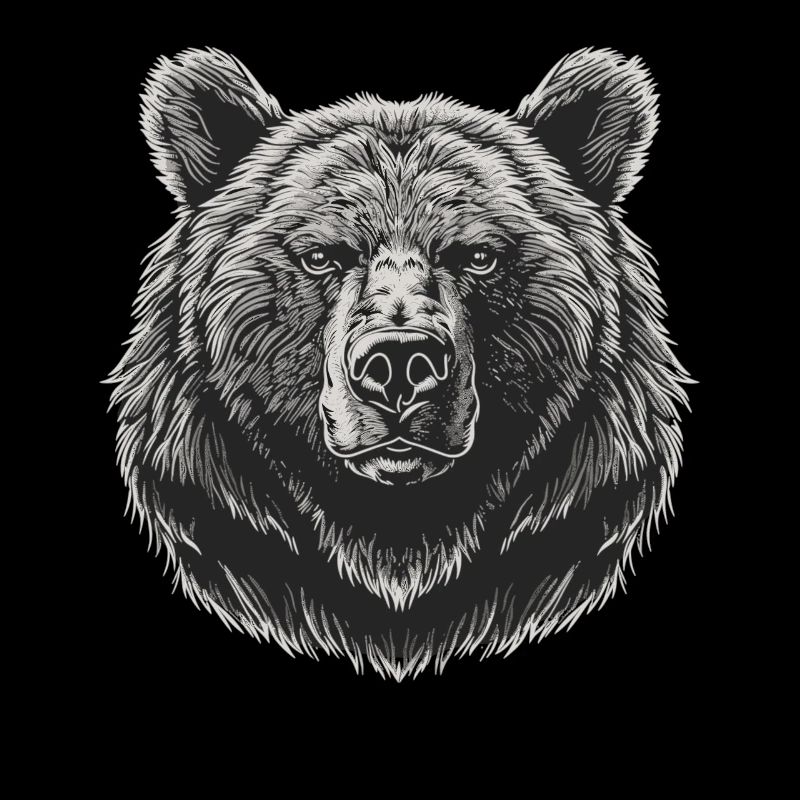 Bear Bären Bär