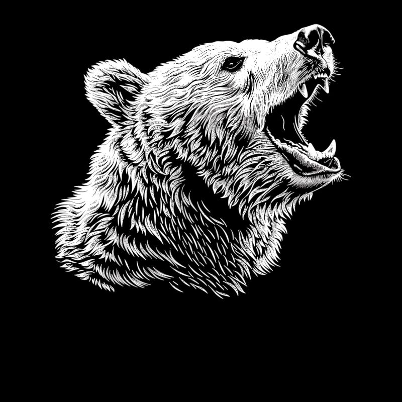 Bear Bären Bär