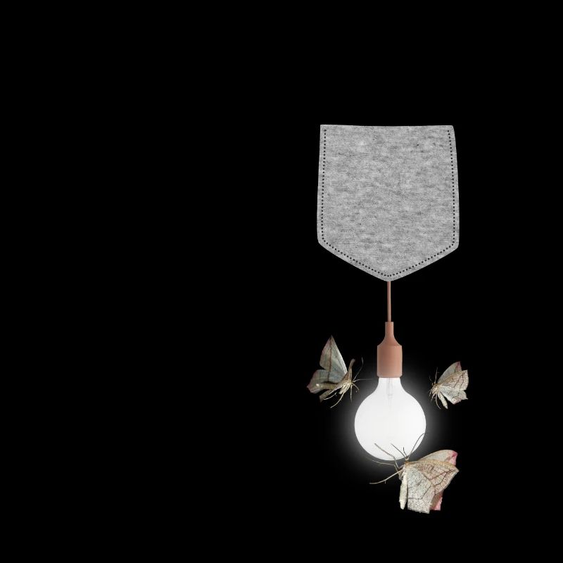 Moth Attracted To Light Bulb Hanging From Pocket