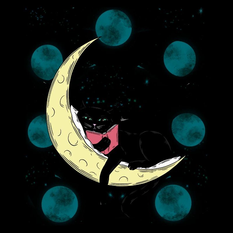 Chat Lune Chats Chaton Phase de Lune Livre