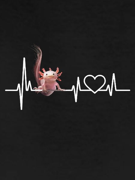 Axolotl