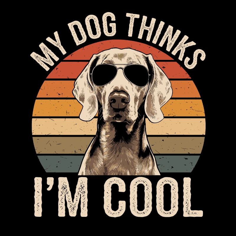 Weimaraner My dog thinks I'm cool