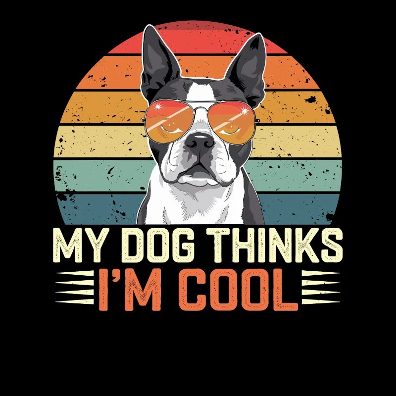 Boston Terrier Mon chien pense que je suis cool