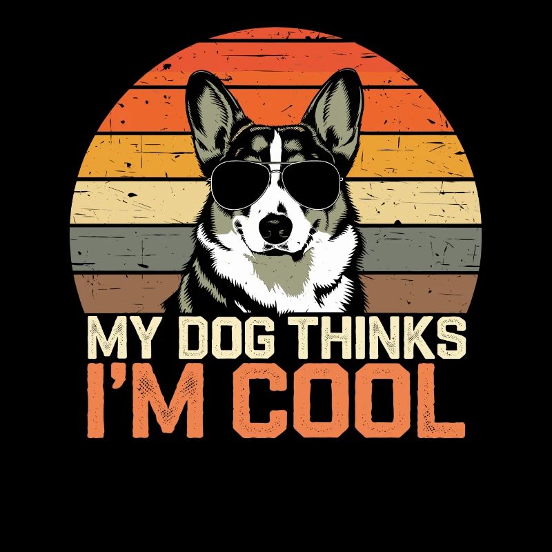 Corgi Mein Hund Denkt Das Ich Cool Bin