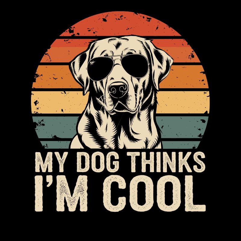 Labrador Retriever Mein Hund Denkt Das Ich Cool