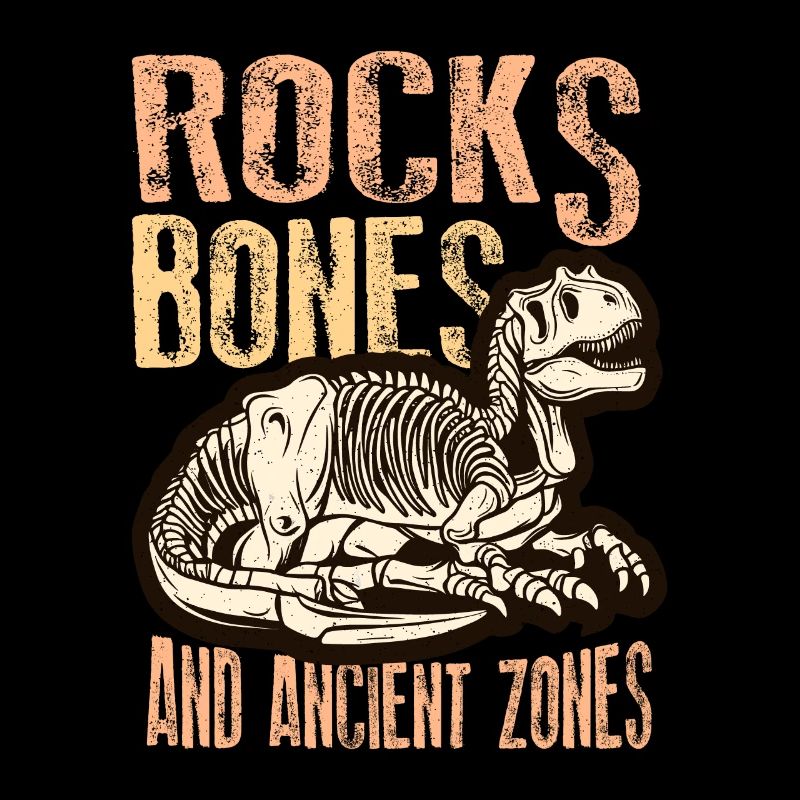Fossil Hunter Rocks Os et collection de fossiles