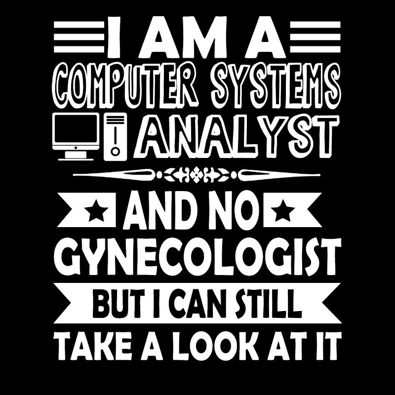 I Am A Computer Systems Analyst