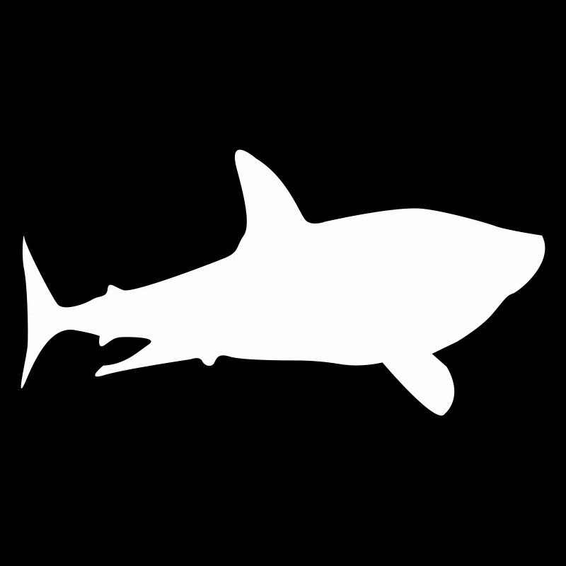 shark shark