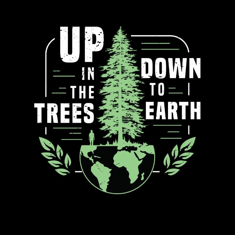 Tree Surgeon Up In The Trees Down To Forest Worker