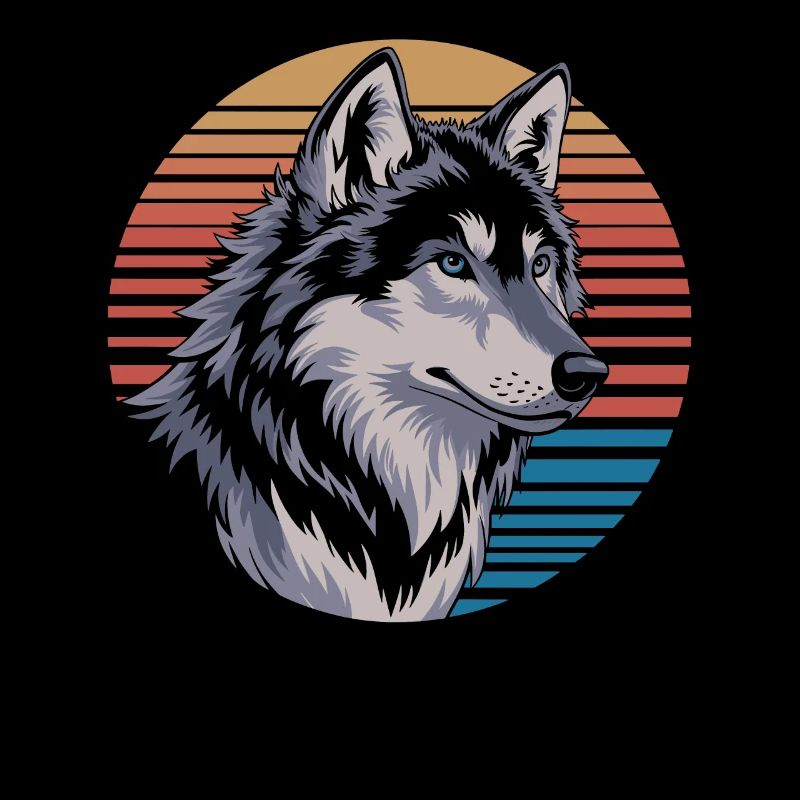 Loup majestueux avant le coucher du soleil