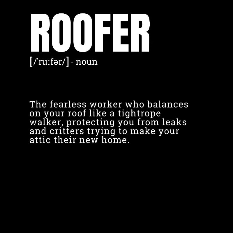Funny Dictionary Definition Graphic for Roofer