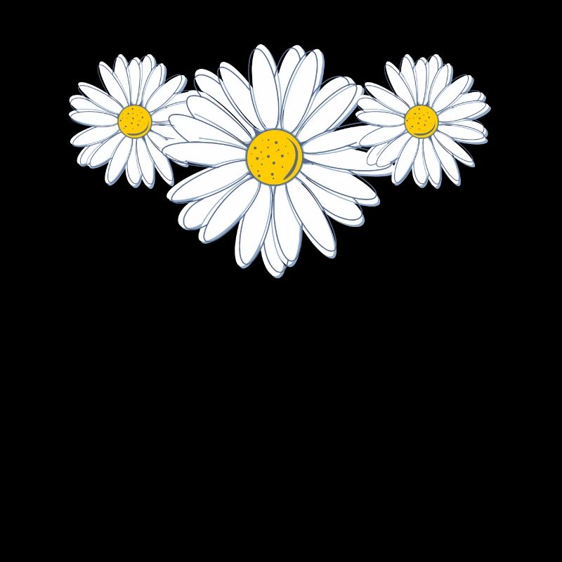 Schöne Gänseblümchenblüte Belle fleur de marguerite