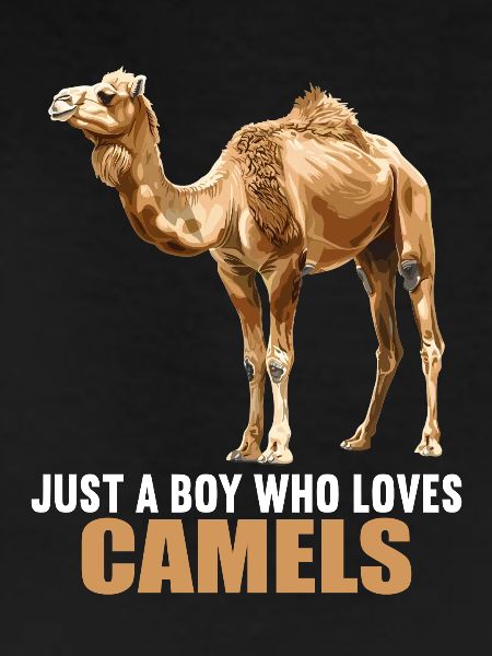 Camel Kamele Kamel