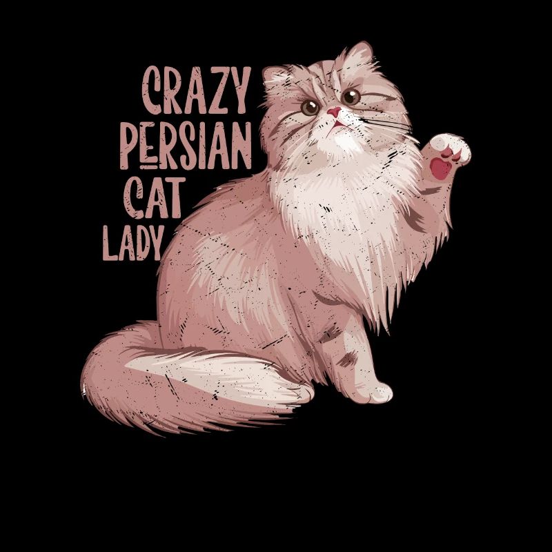 Crazy Persian Chat Lady Chat Chaton Mère