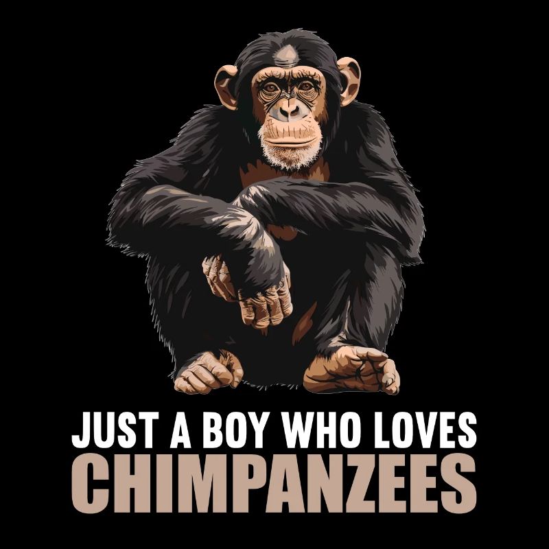 Chimpanzé Schimpansen Schimpanse