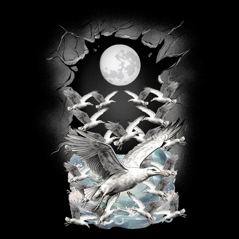 maritim Möwe Möwen