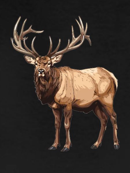 Moose Moose