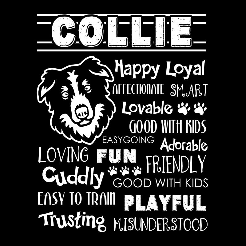 Border Collie Happy Loyal Affectionate Smart