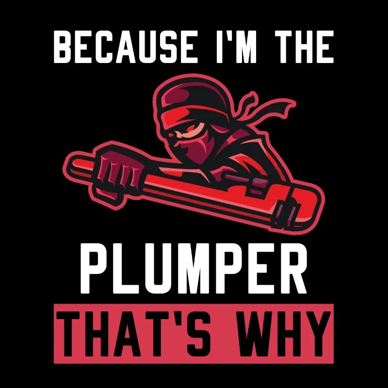 C’est pourquoi parce que je suis le plombier