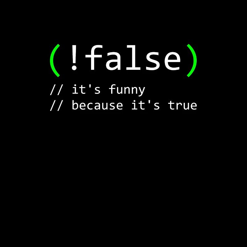 Programmer Humor false true funny Nerd Geek