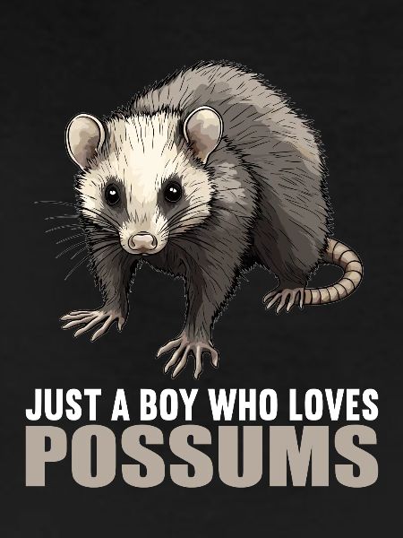 Opossum Opossums