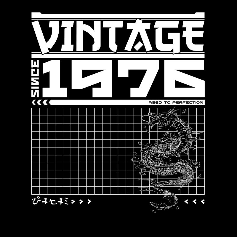 Samurai Power seit 1976 - 49. Geburtstag Drache