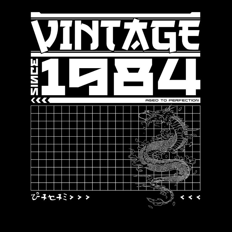 Samurai Spirit 1984 - 41e dragon : Héritage