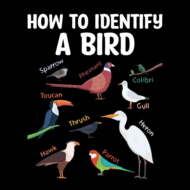 Comment identifier un ornithologue ornithologue