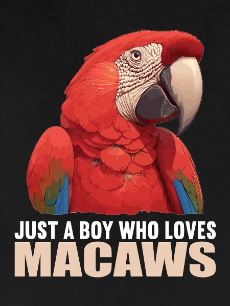 Macaw's Era