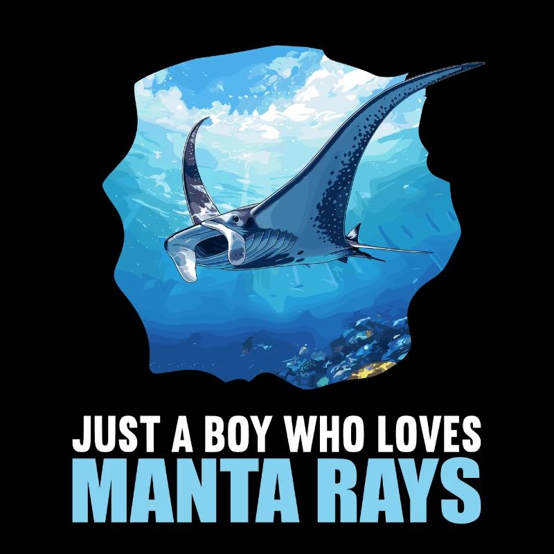 Mantas Manta Rochen