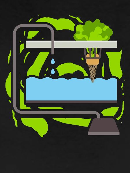 Hydroponics