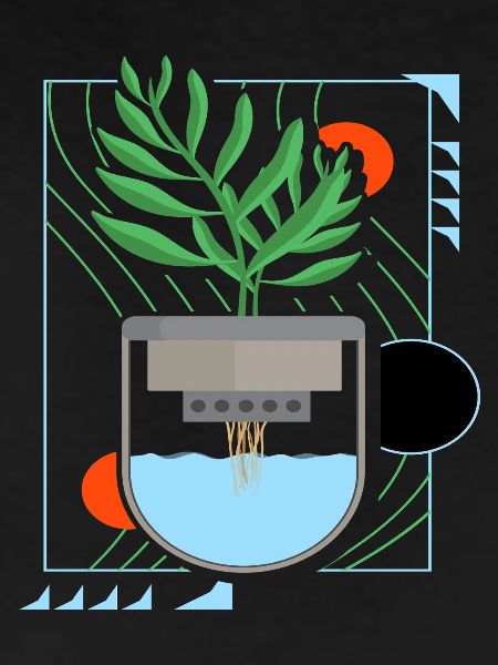 Hydroponics