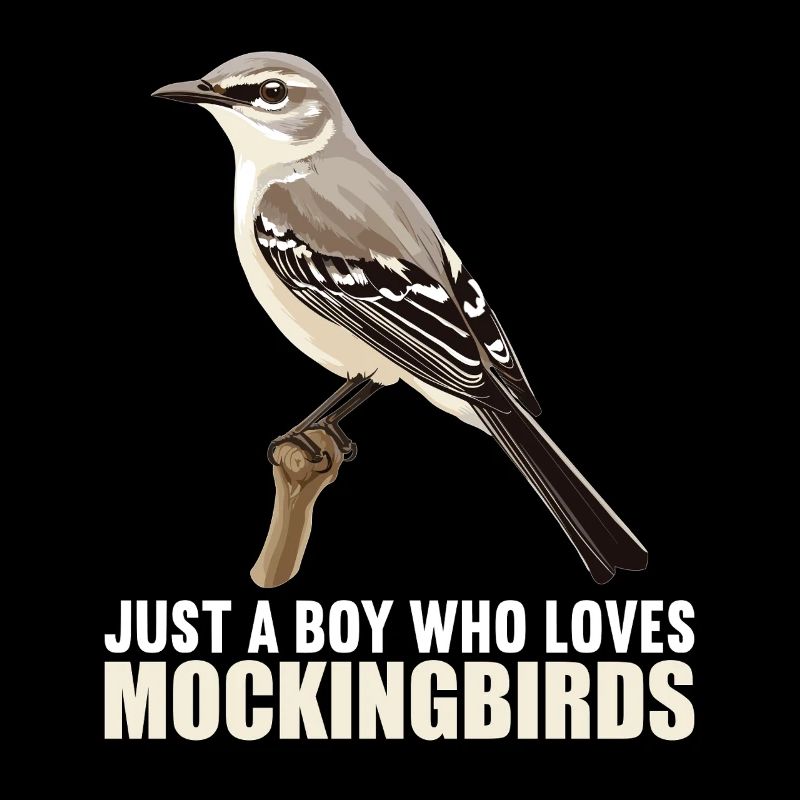 Oiseaux moqueurs Oiseaux moqueurs