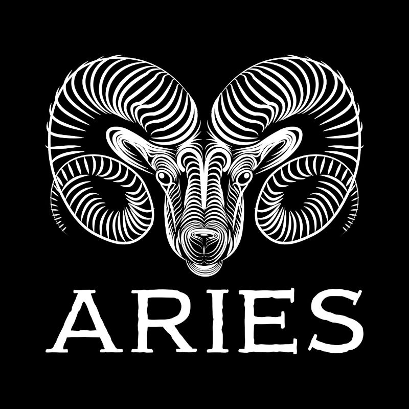aries1w Zeichenfläche 1
