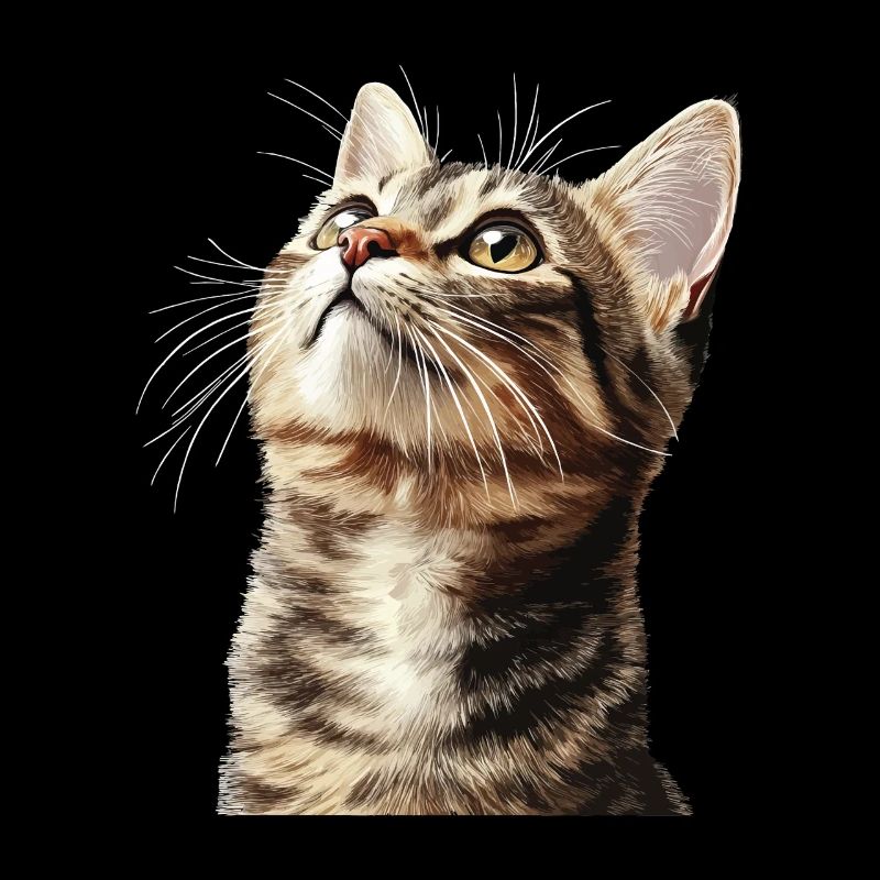 Katze