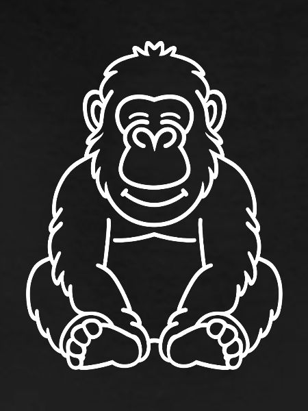 Gorilla