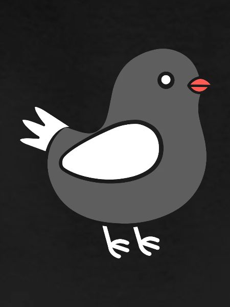 pigeon