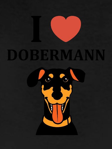 Dobermann