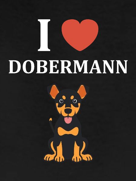 Dobermann