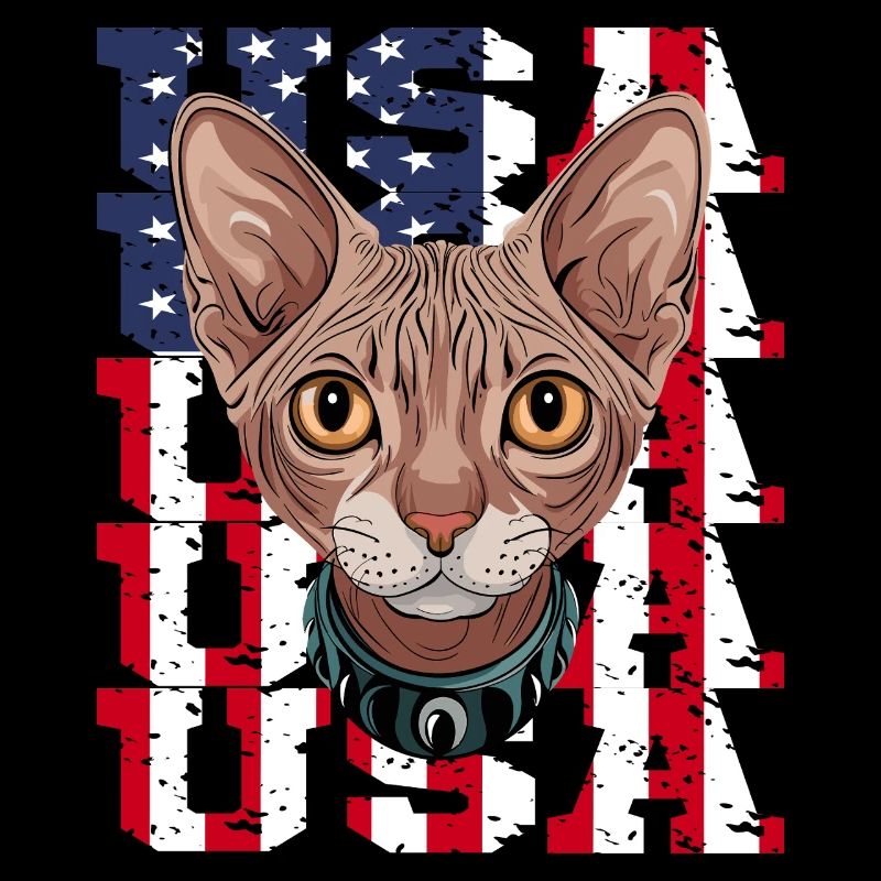 USA Chat Sphynx devant le drapeau