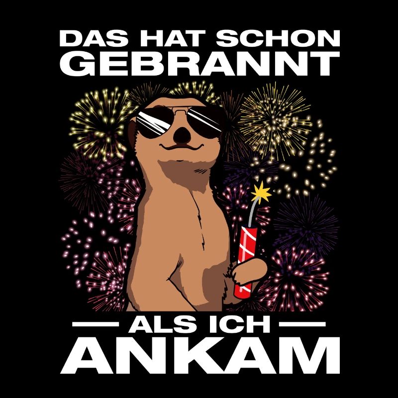 Has already burned, pyrotechnicians, fireworks, fireworks